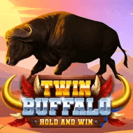 Twin Buffalo